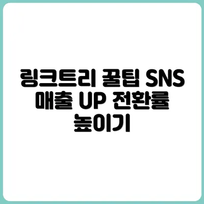 SNS 매출 전환을 위한 링크트리 활용 팁