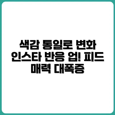 인스타그램 피드 색감 통일만으로도 달라진 반응